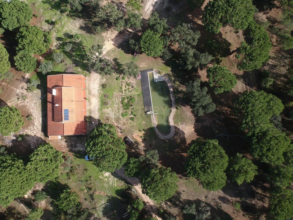 Quinta a 1 hora de Lisboa - Cortiçadas de Lavre - Próximo novo Aeroporto!!! - Image 3