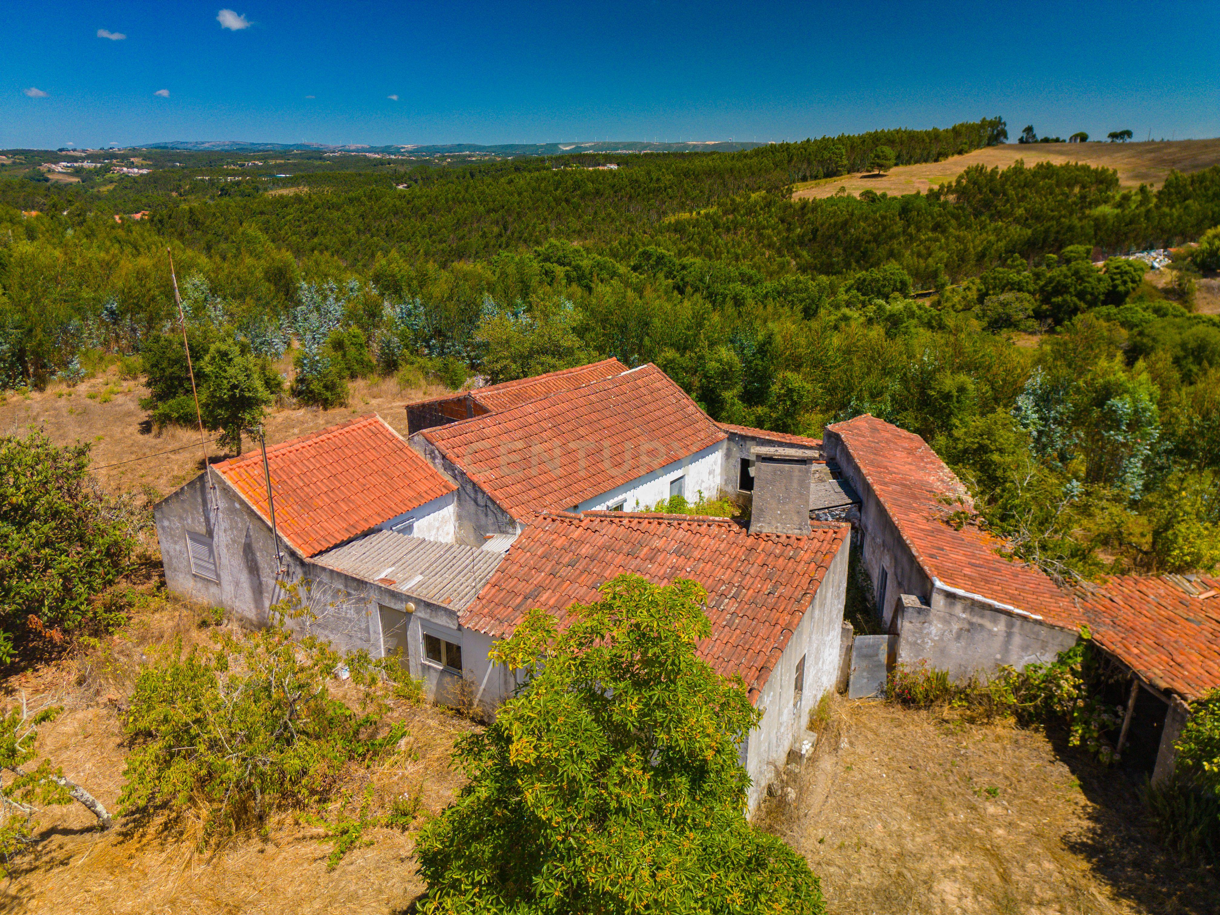 Fotografia 5 de Moradia com terreno | Lagoa Parceira | Caldas da Rainha