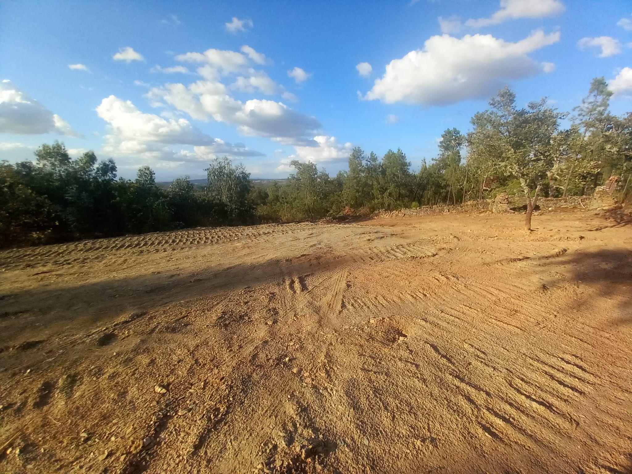 Fotografia 4 de Terreno em Benquerenças, Castelo Branco - 2800m²