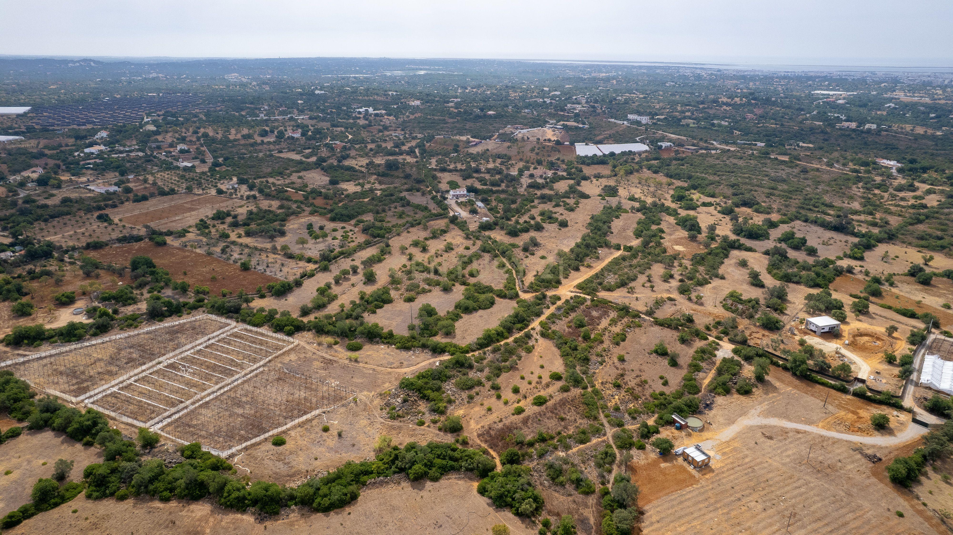 Fotografia 4 de Terreno Rústico de 3.650 m² entre Pechão e Estoi
