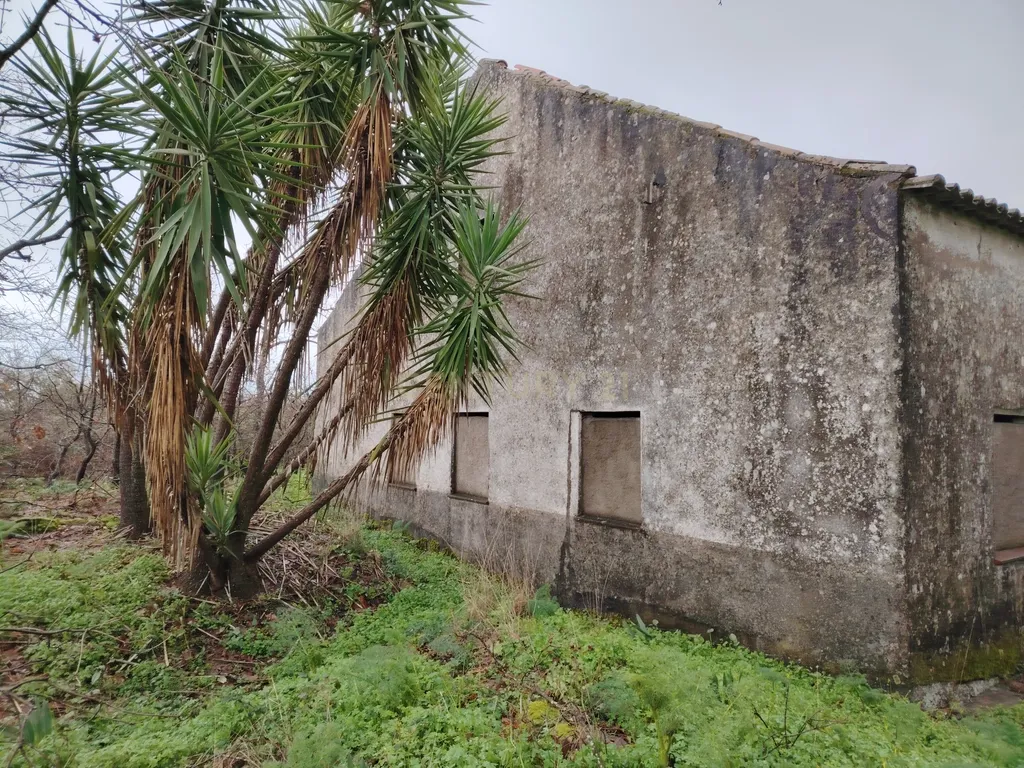 OPORTUNIDADE DE INVESTIMENTO ESTRATÉGICO- Terreno Urbano com 44.250 m² | Castelo Branco - Image 3