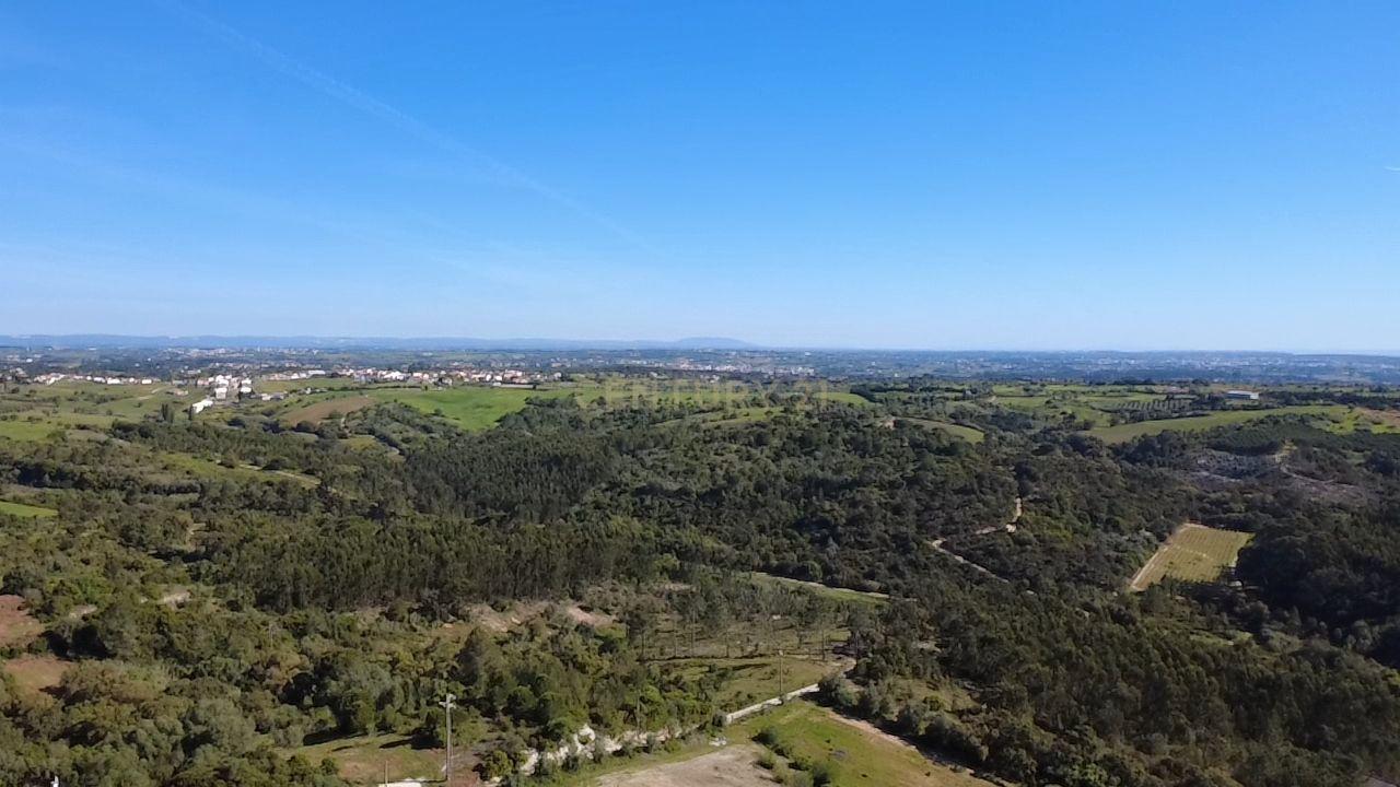 Fotografia 9 de Terreno agrícola