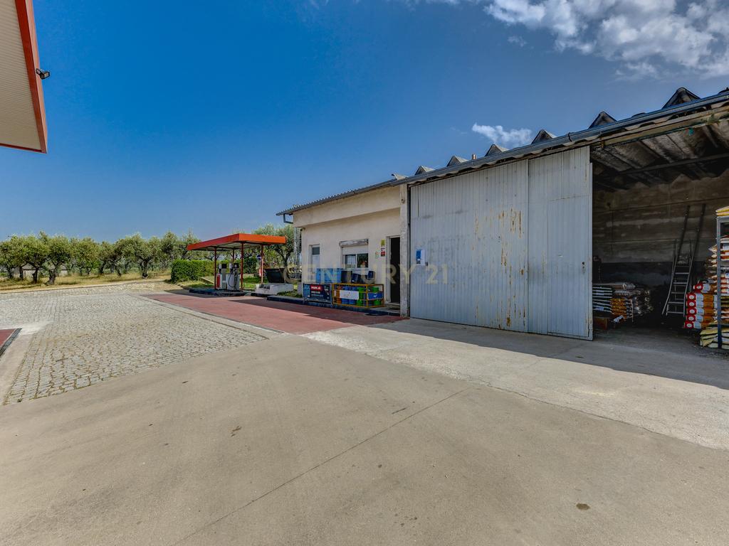 OPORTUNIDADE 360º – Moradia T3 + Posto de Combustível GALP + Terrenos (36 000 m²) - Image 50