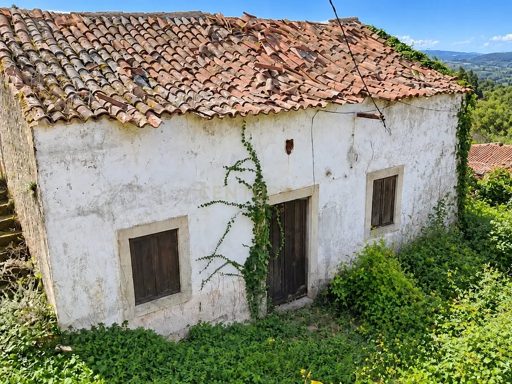 Propriedade para Recuperação em Areias, Ferreira do Zêzere - Image 2