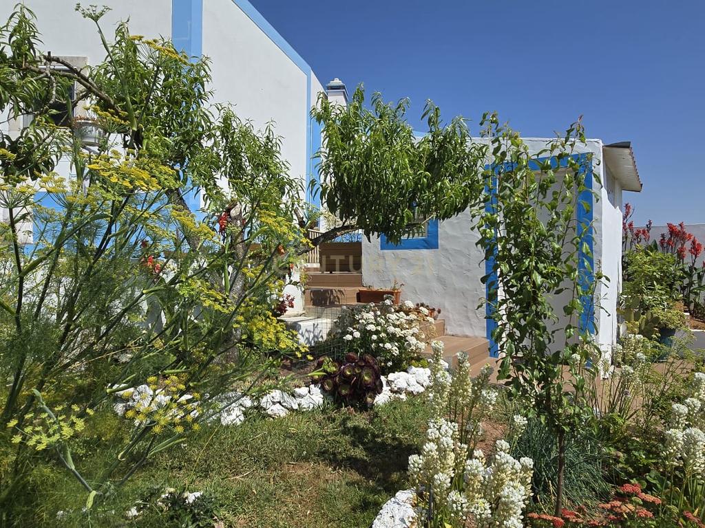 Moradia Renovado com Terraço e Jardim Caixaria - Torres Vedras  - Image 42