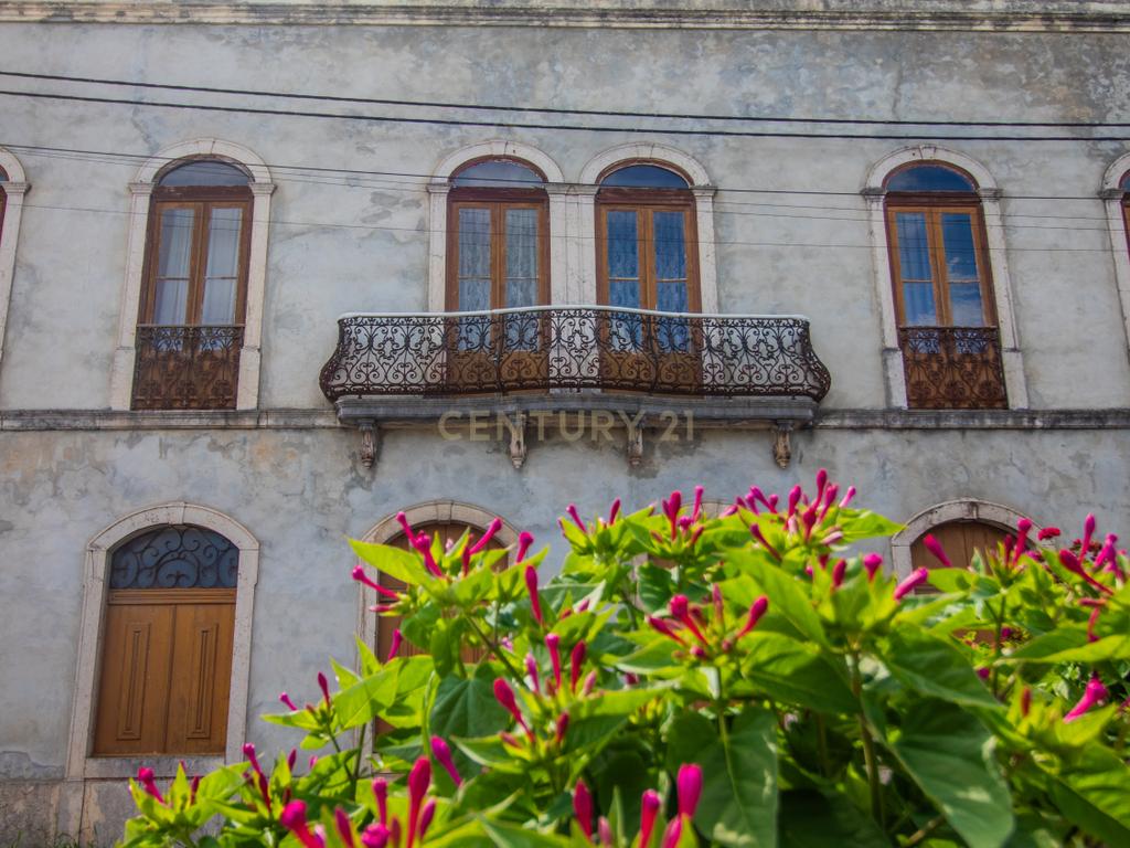 Casa Senhorial Centenária - Image 50