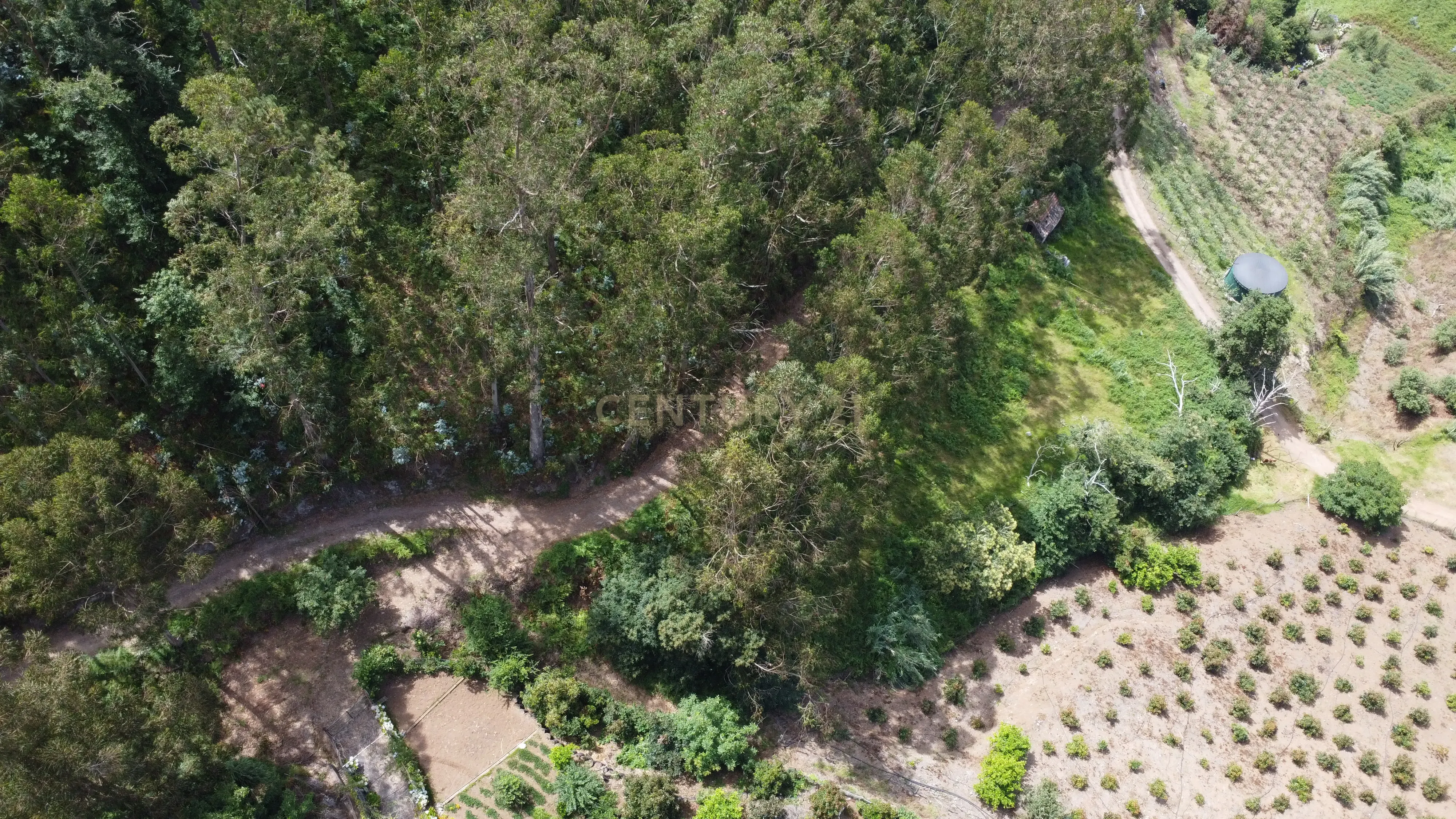 Fotografia 7 de Oportunidade Exclusiva na Madeira – Terreno com 3.796 m² nos Canhas, Ponta do Sol