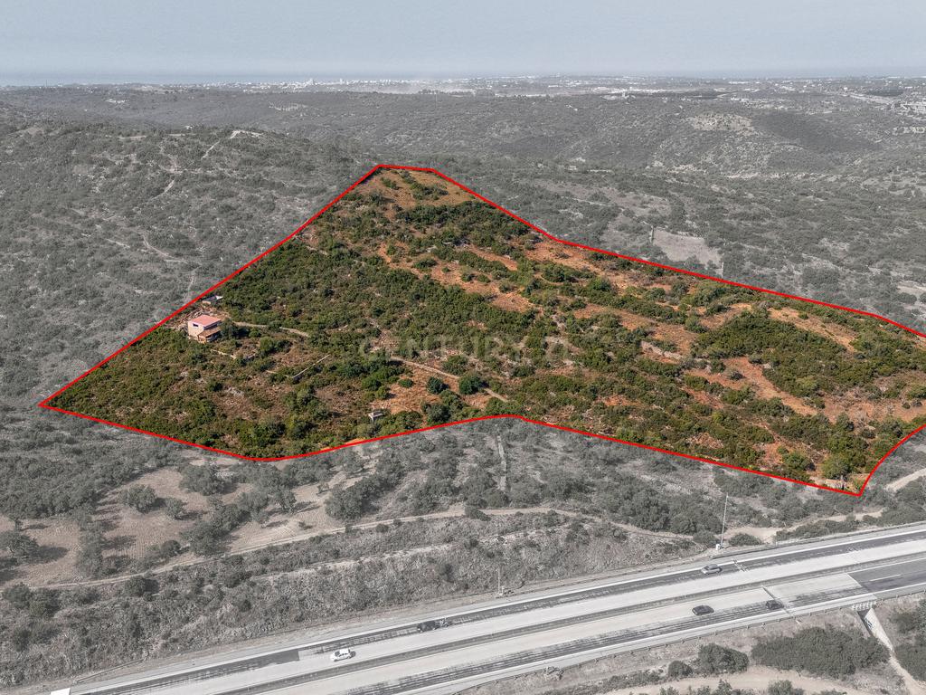 Terreno 55 880m2 | Paderne | Albufeira - Image 4