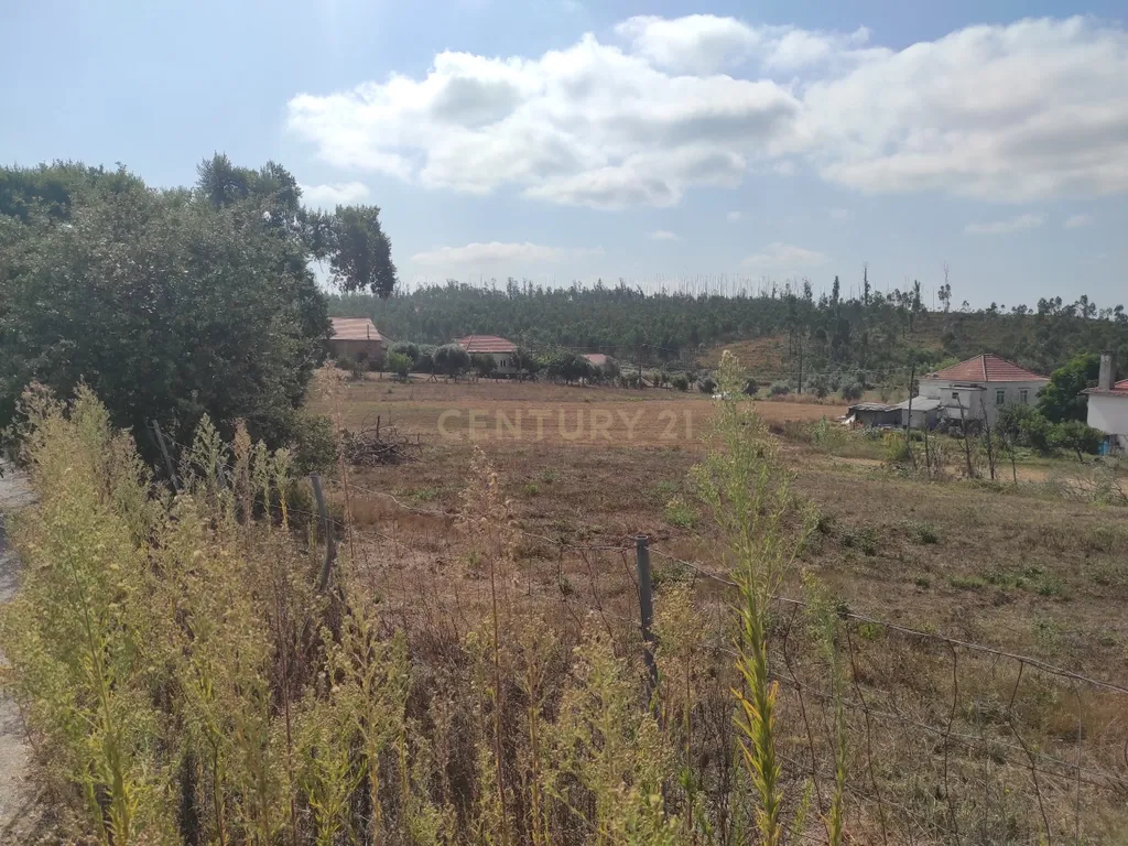 Terreno Urbanizável em Leão, Caranguejeira - Leiria - Image 10