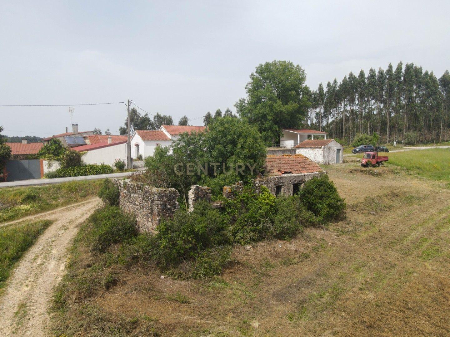 Fotografia 11 de Terreno com furo de água e duas pequenas edificações em ruina para reabilitar