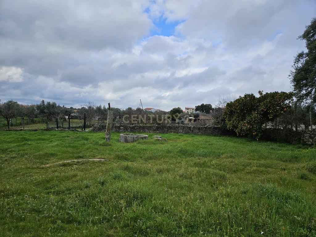 Quintinha na Lousa, Castelo Branco - Image 35