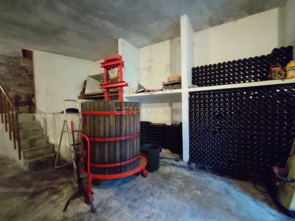 Quinta com ancestral moradia para habitação particular ou turismo de habitação em Felgueiras, Resende, Viseu - Image 49