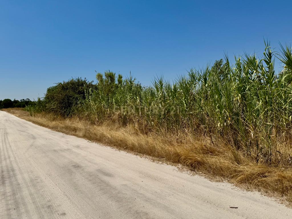 Terreno com 94.000 m2 na zona do Novo Aeroporto de Lisboa, Santo Estêvão, Benavente. Em venda! - Image 3