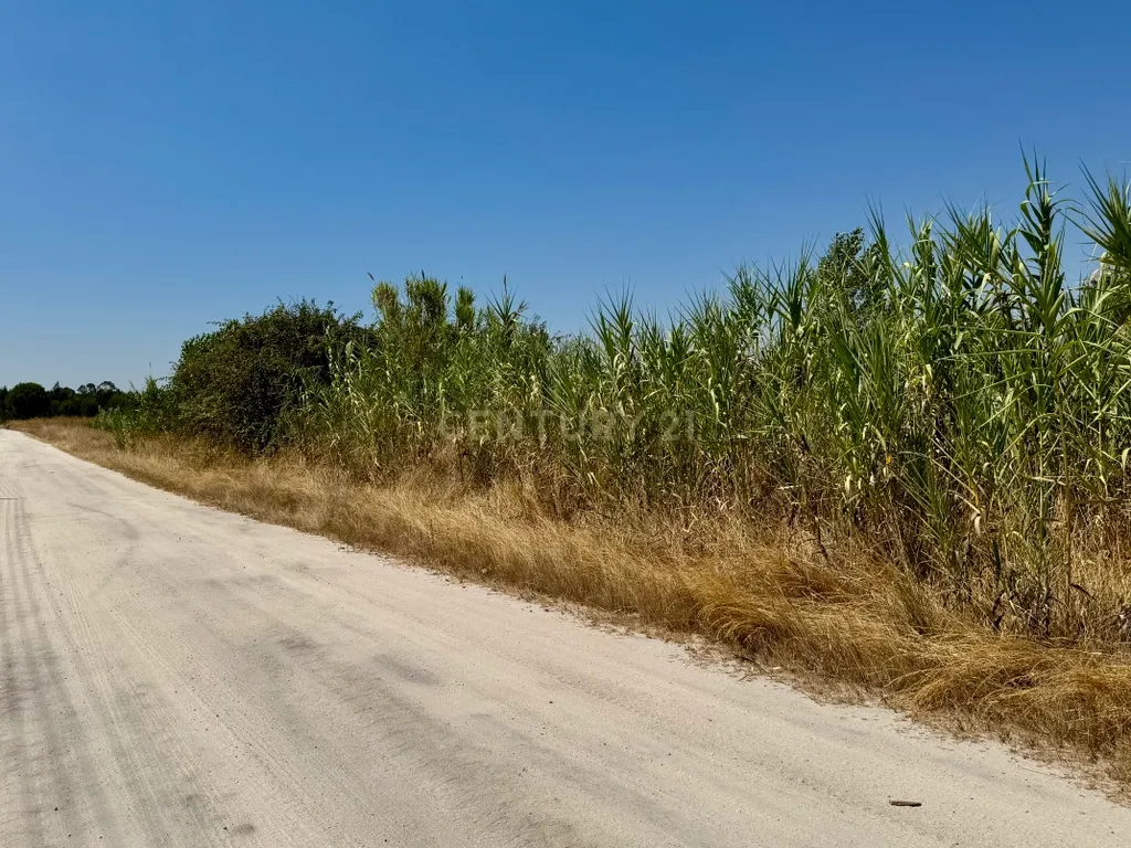 Terreno com 94.000 m2 na zona do Novo Aeroporto de Lisboa, Santo Estêvão, Benavente. Em venda! - Image 3