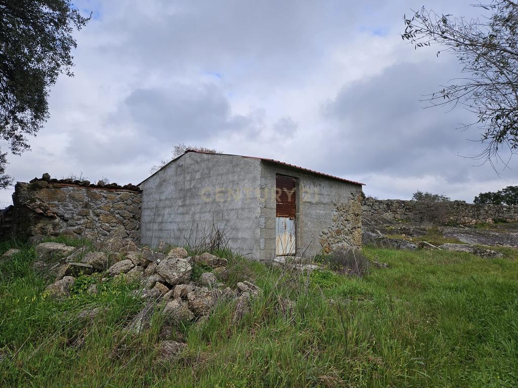 Quintinha na Lousa, Castelo Branco - Image 11