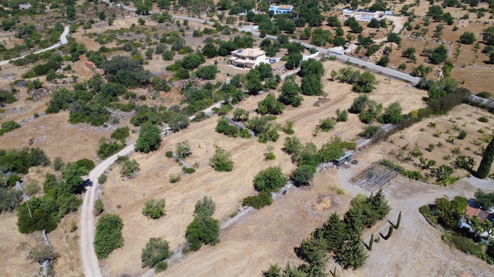Fotografia 5 de Terreno Rústico com 3.560 m² em Pereiro – Moncarapacho, Olhão