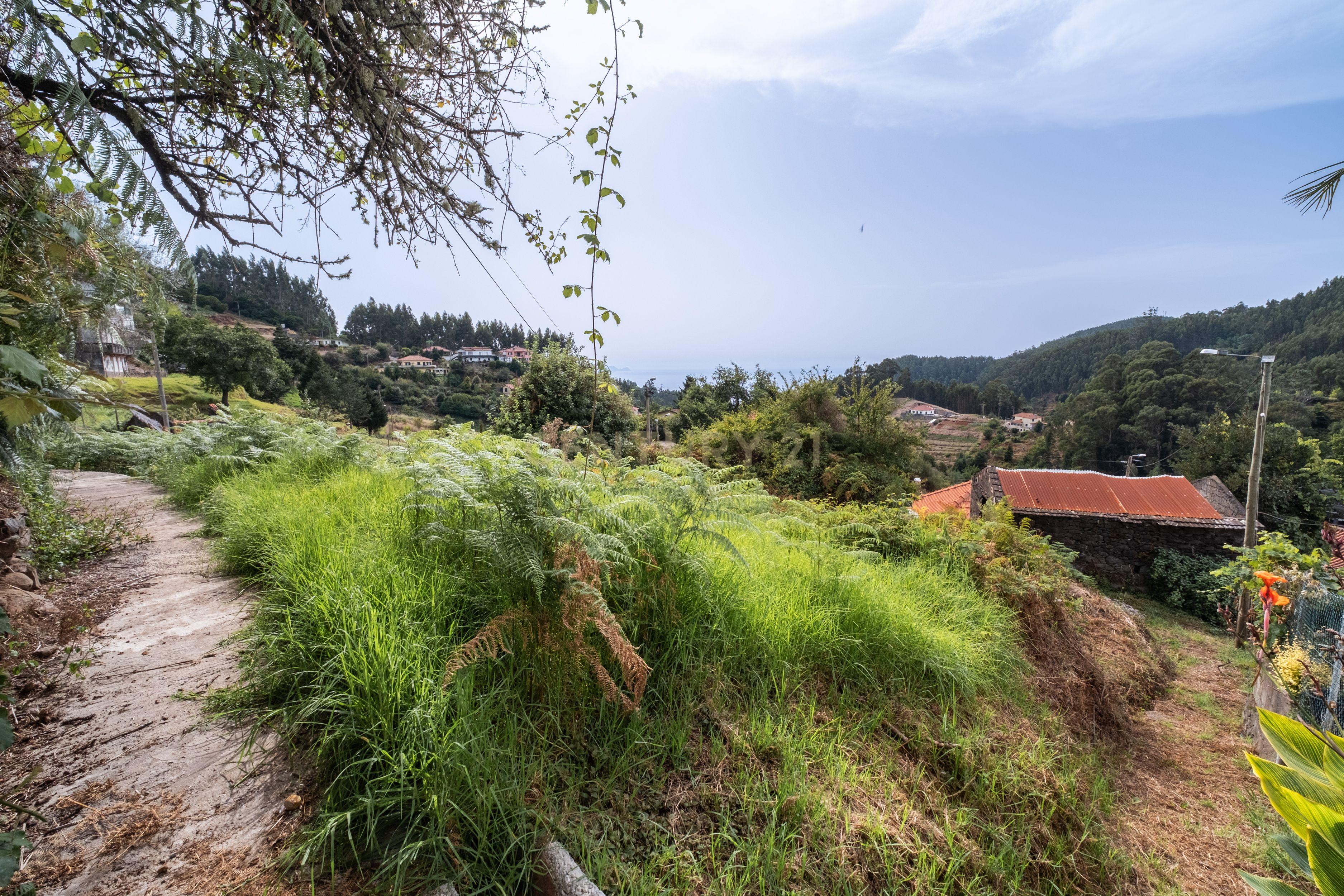 Moradia T1 à venda em Santo António da Serra, Santa Cruz — foto 34