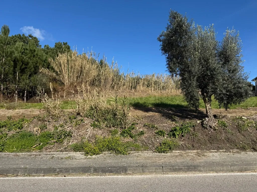 Terreno Panorâmico em Pombal - 1020m² por 34.500€ - Image 20
