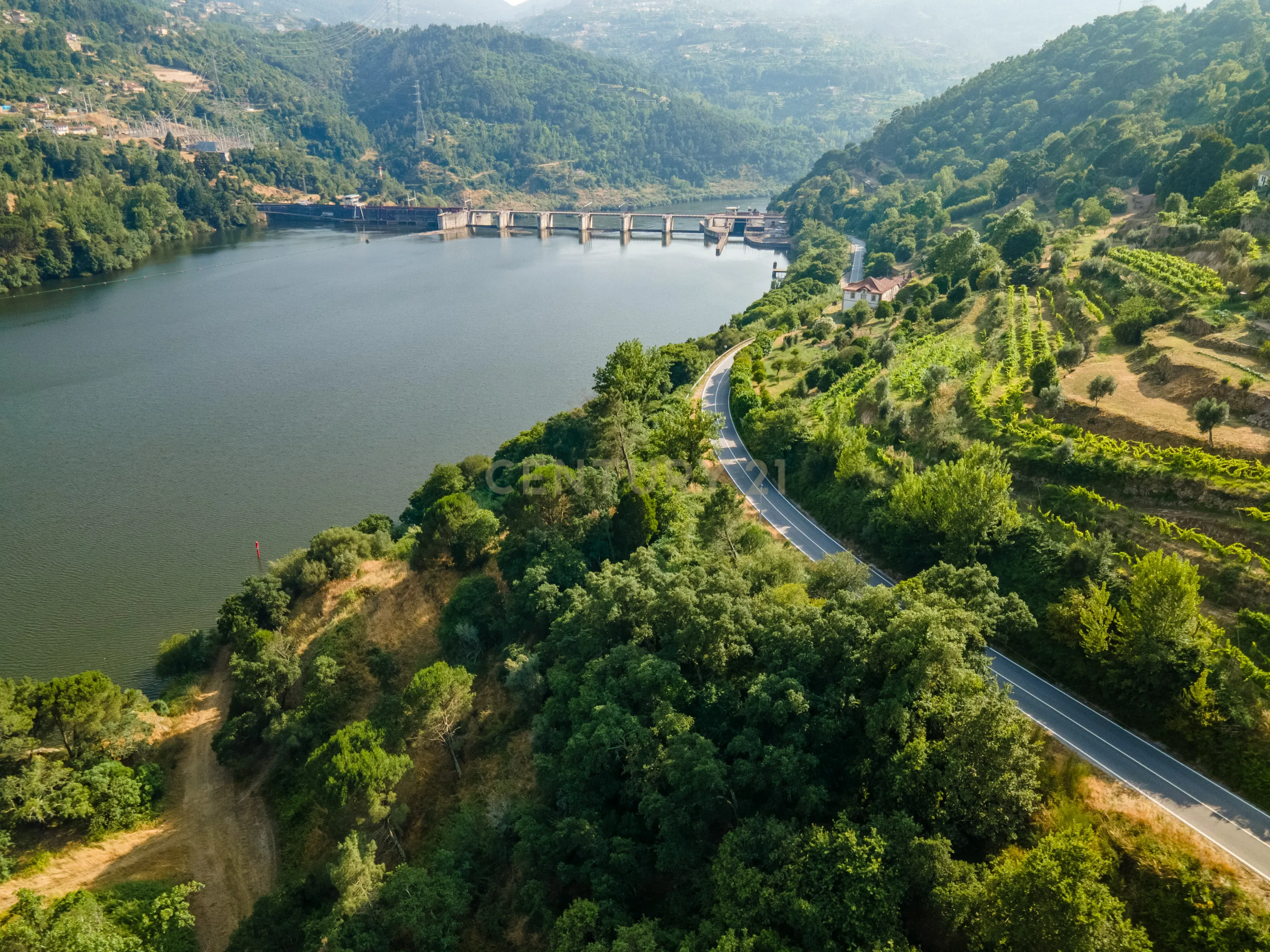Quinta com Vista Deslumbrante sobre o Rio Douro – Projeto Aprovado para Hotel Rural | Paços de Gaiolo - Image 16