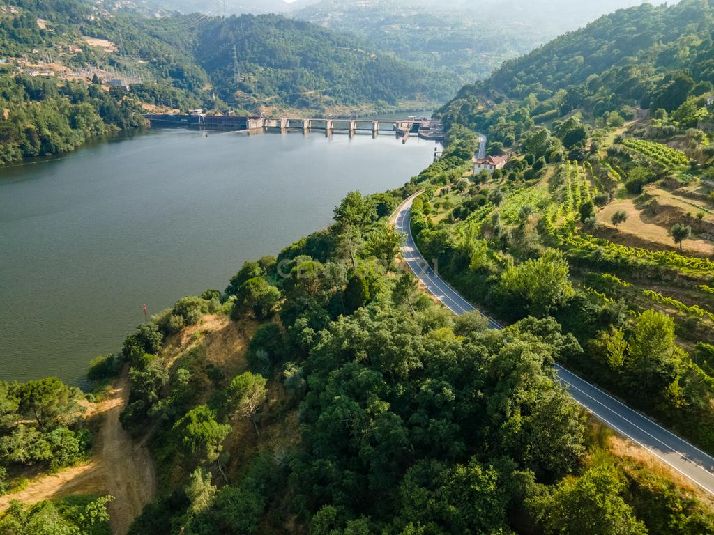 Quinta com Vista Deslumbrante sobre o Rio Douro – Projeto Aprovado para Hotel Rural | Paços de Gaiolo - Image 16