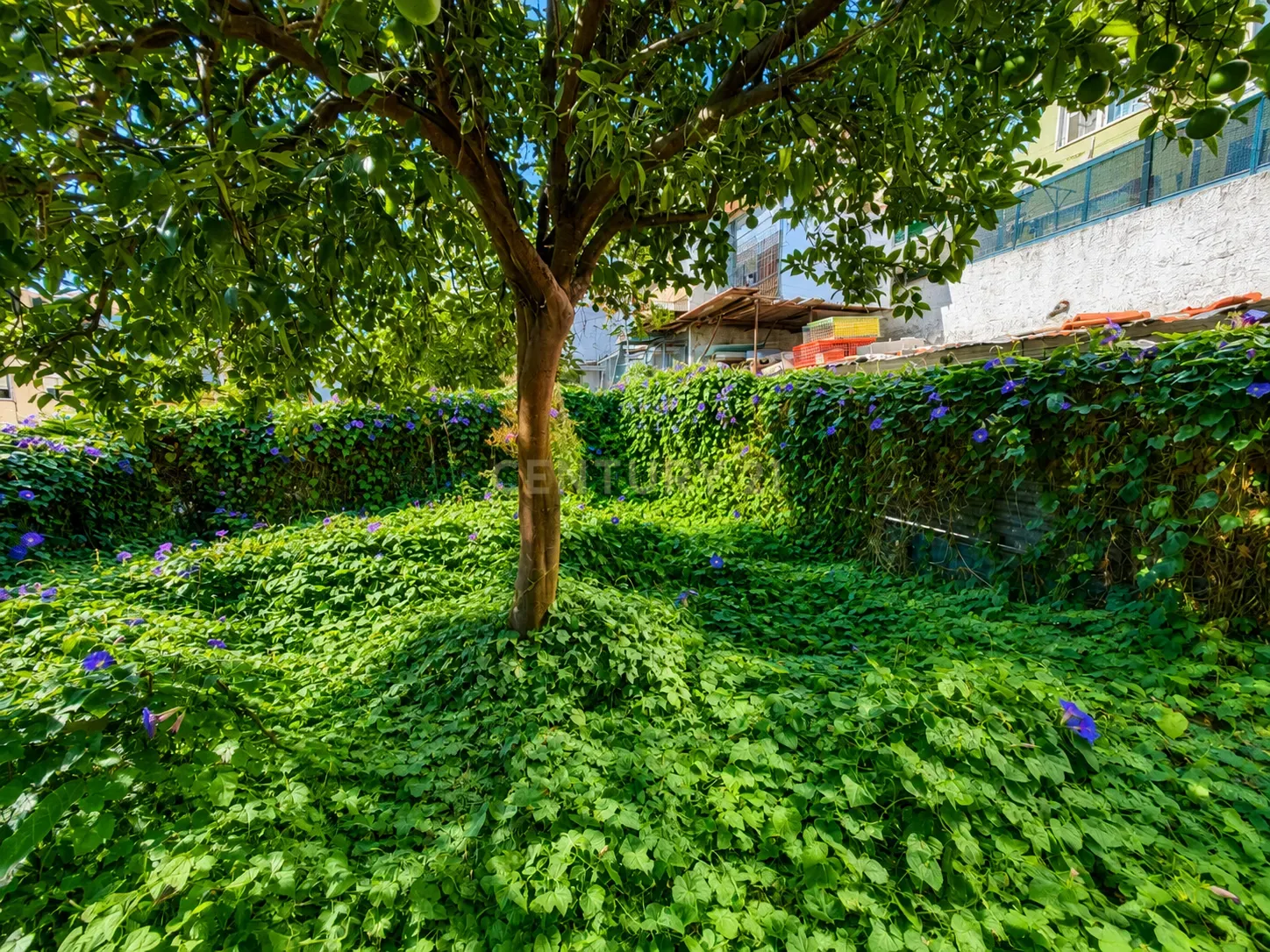 Fotografia 7 de TERRENO URBANO PARA CONSTRUÇÃO | BRANDOA | AMADORA