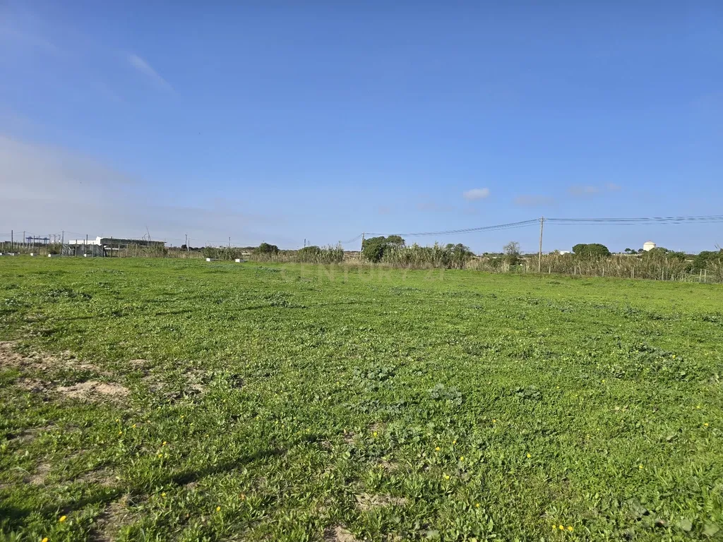 Moradia Isolada inserida em Quinta com terreno de 13000m2 em Peniche - Image 20