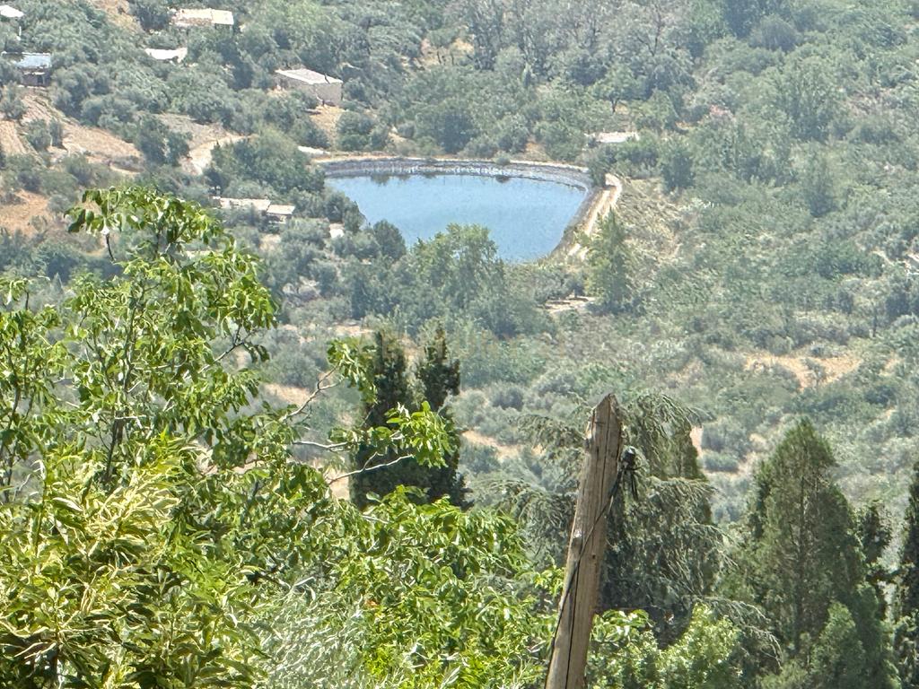 2 CASAS PARA VENDA NA ALPUJARRA DE GRANADA - Image 48