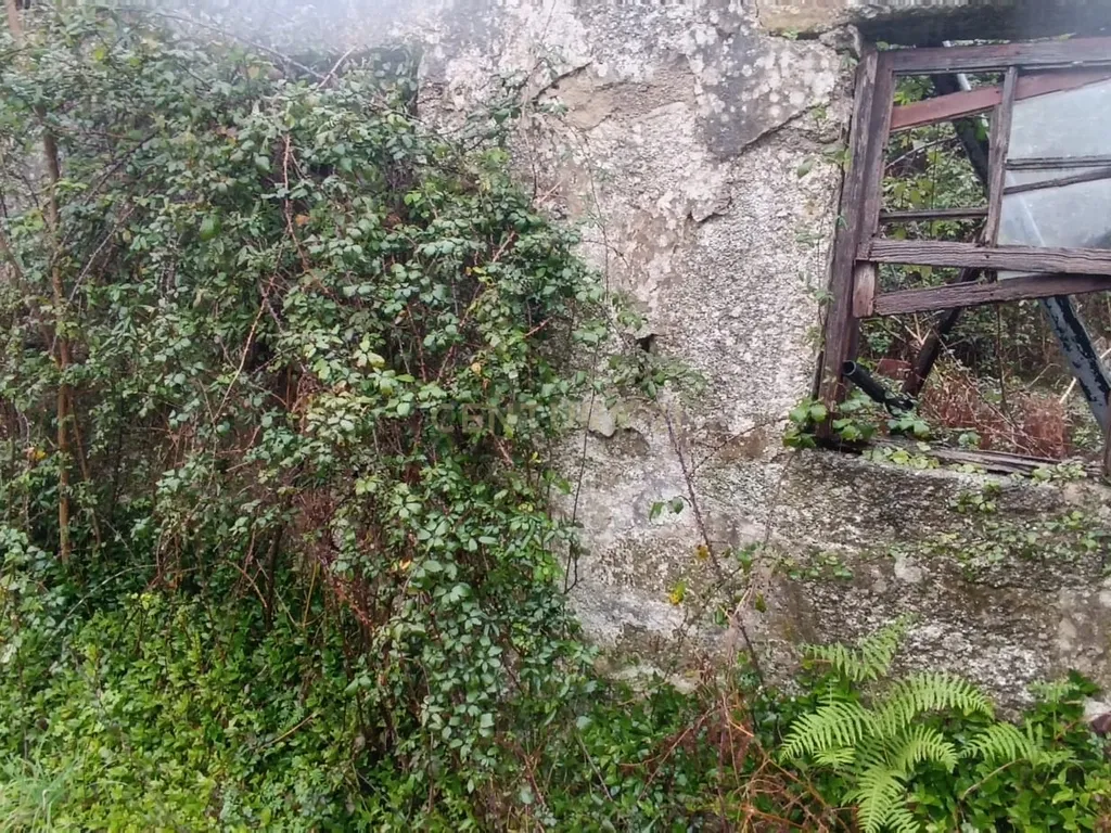 Quinta De Além com casa rústica em ruína para reabilitação total de 2 quartos no centro de Cete, Paredes - Image 60