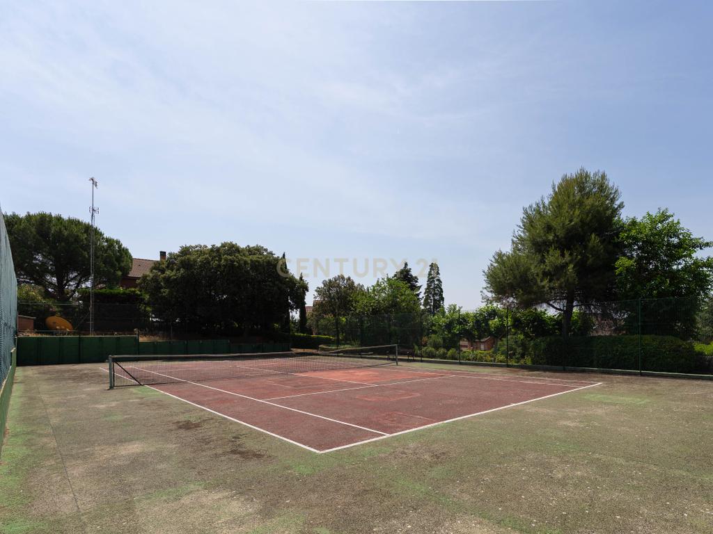  - Image 7