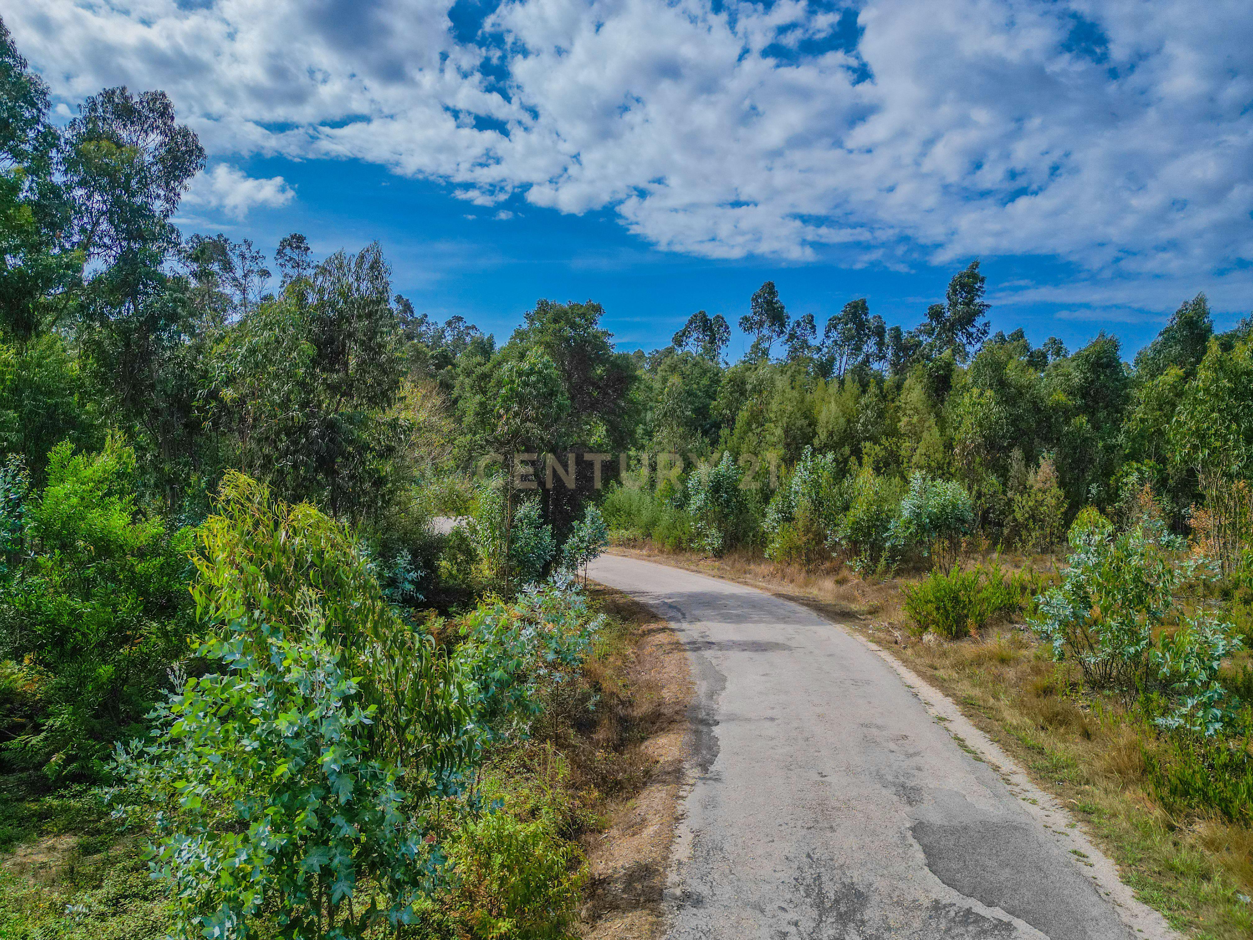 Fotografia 11 de Terreno rústico com cerca de 3.930,00 m² para venda em Lafrana de Cima – Figueira da Foz