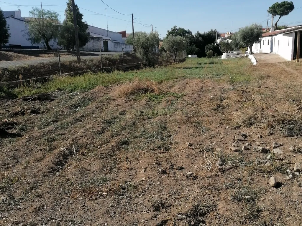 ALBERNOA-BEJA - ALENTEJO- Quinta com 1750 m2. Casa de 229 m2 Cozinha-Sala -3 quartos . Garagem. - Image 42