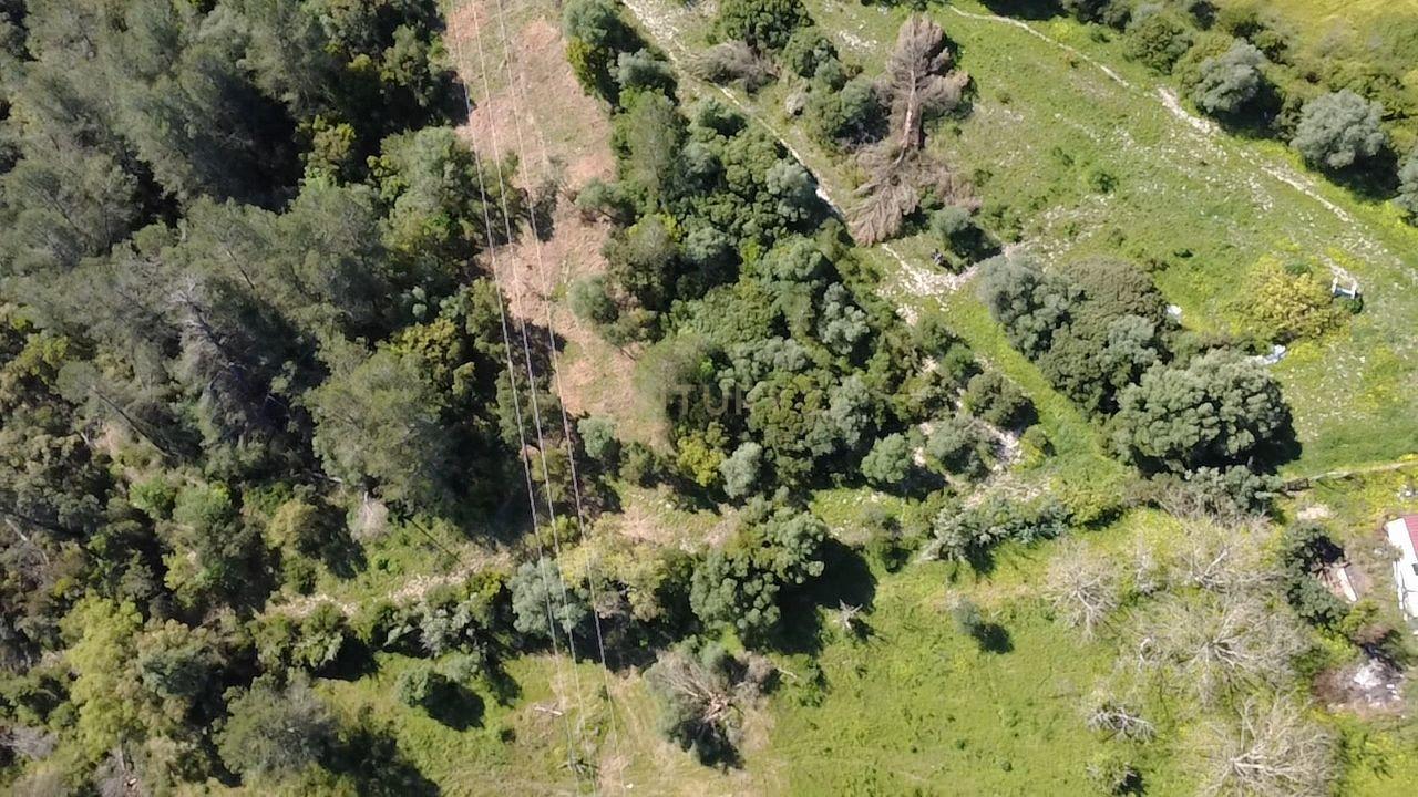 Terreno agrícola