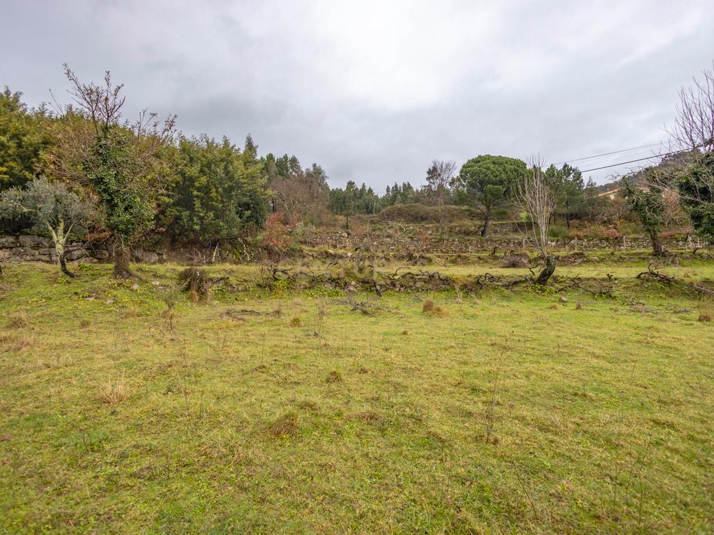 Moradia para Reconstrução com Terreno - Image 8