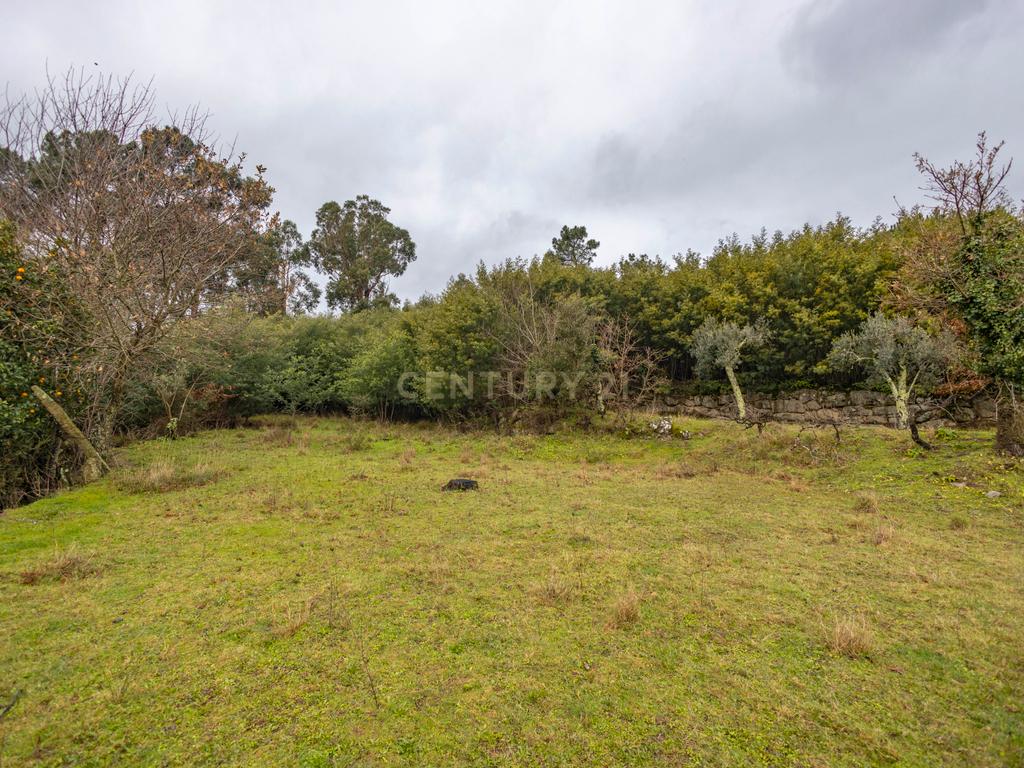 Moradia para Reconstrução com Terreno - Image 6