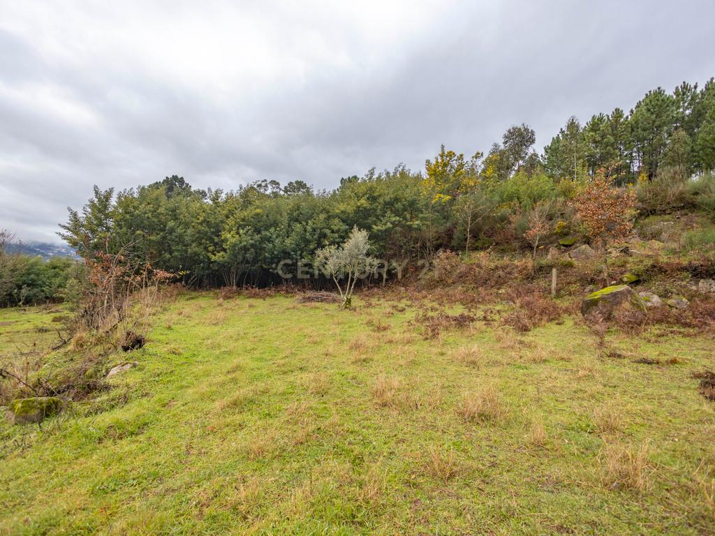 Moradia para Reconstrução com Terreno - Image 12