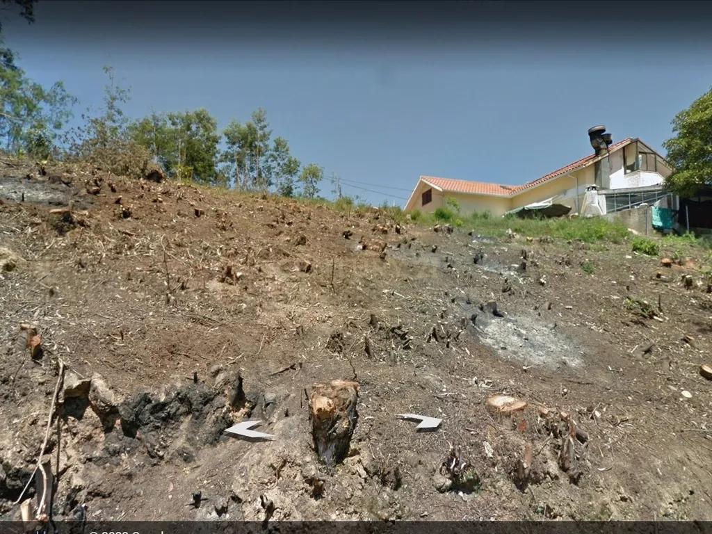 Terreno para construção | Vale de Canas | Coimbra - Image 2