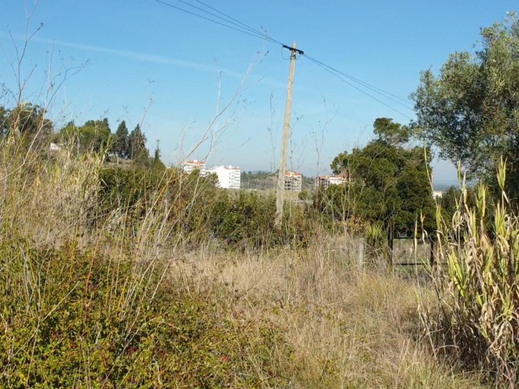 Fantástico e grandioso terreno em Alenquer - Image 6
