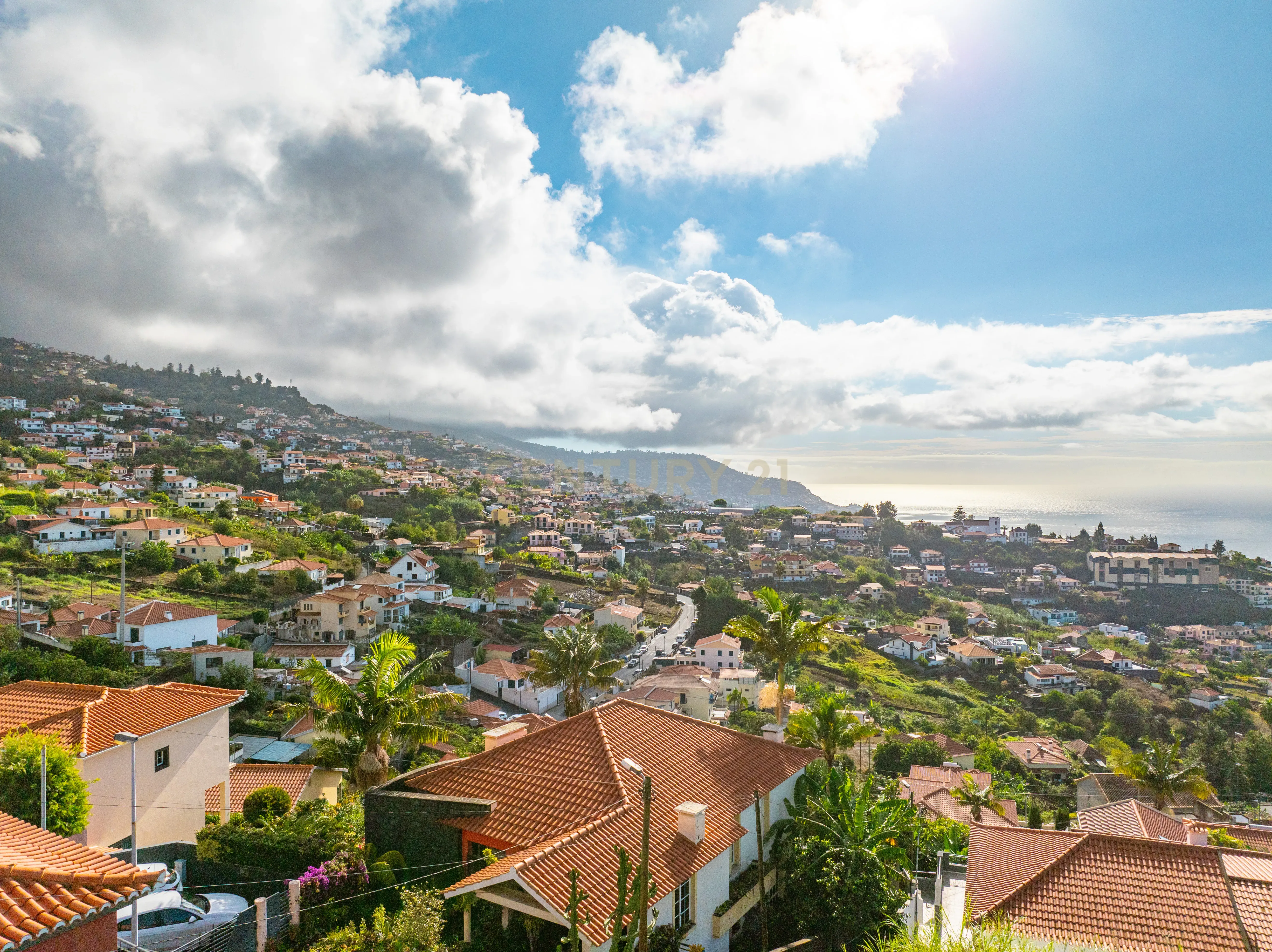 Terreno Urbano para Construção - São Roque, Funchal. - Image 6