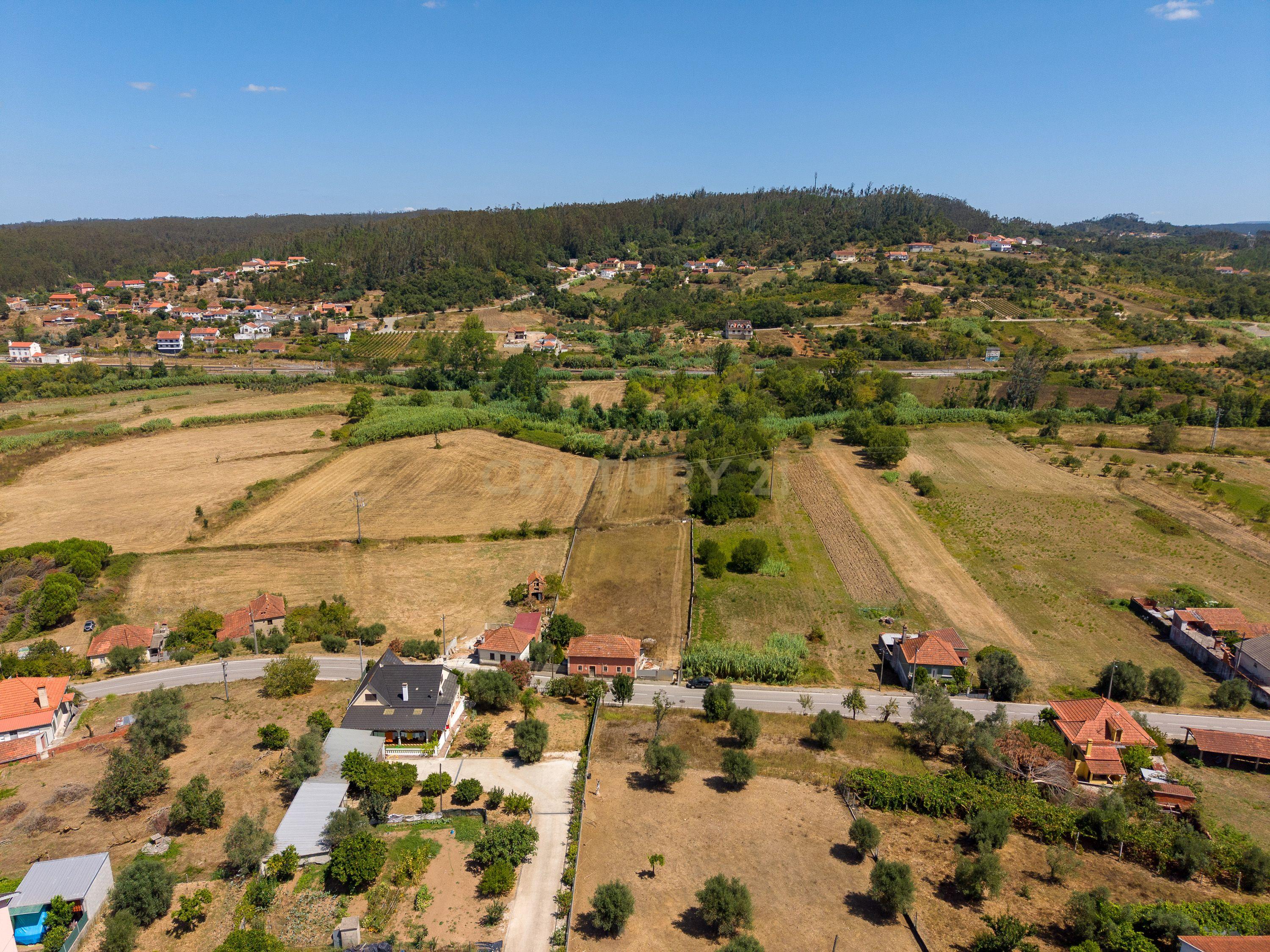Fotografia 6 de Casa Antiga || Quintinha com 7000 m2 || Vermoil, Pombal