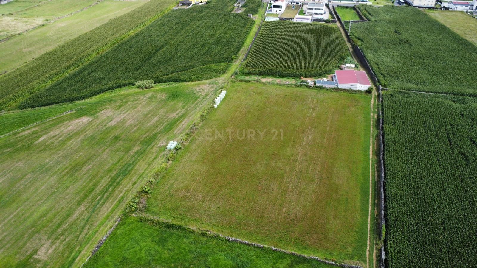 Fotografia 3 de Terreno Agrícola Plano com 6.240 m² | Excelente Exposição Solar | Calhetas