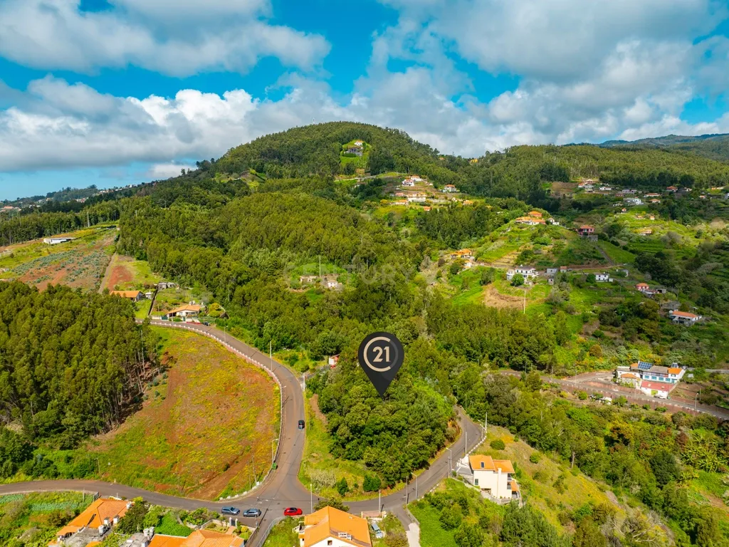 Terreno com Potencial em Zona Verde e Tranquila de Gaula - Image 10