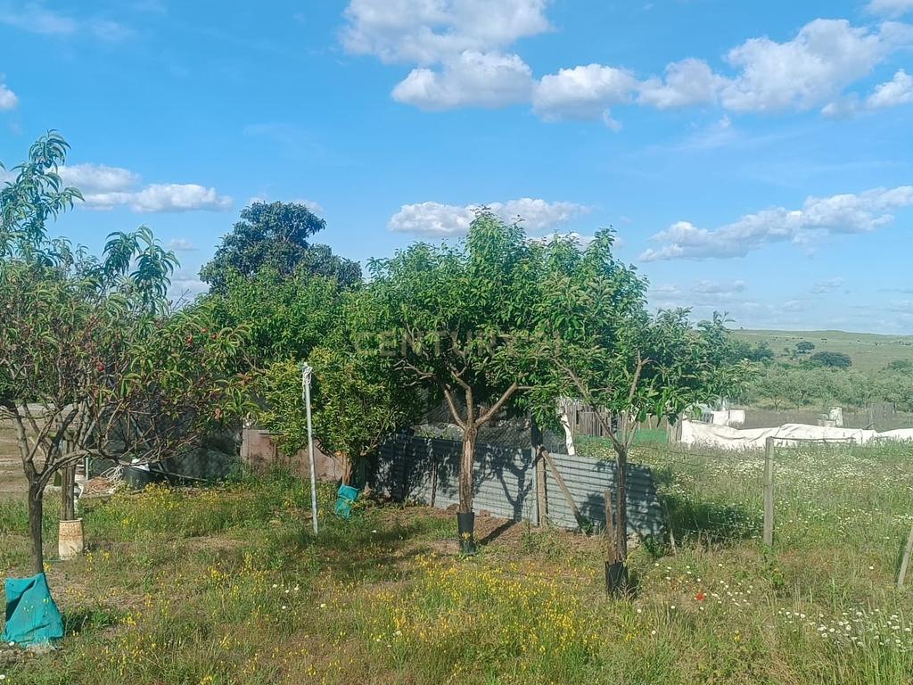 Excelente terreno em Santa Eulália Elvas - Image 7