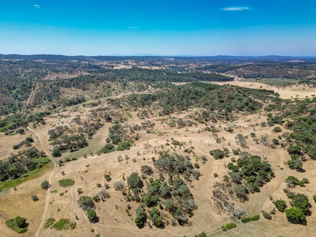 Herdade com 59,225 ha , 687m2 urbano, nascente de água, em Colos, Odemira - Image 22