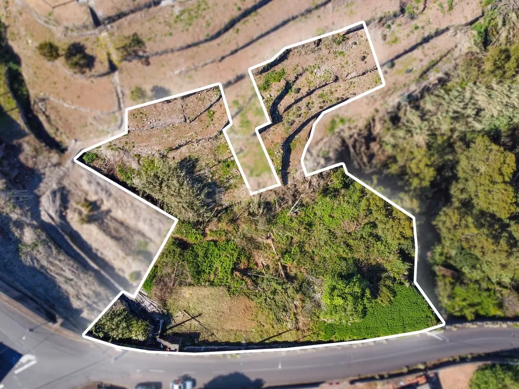 Terreno com Vista Mar e Potencial de Construção em Santa Cruz - Image 3