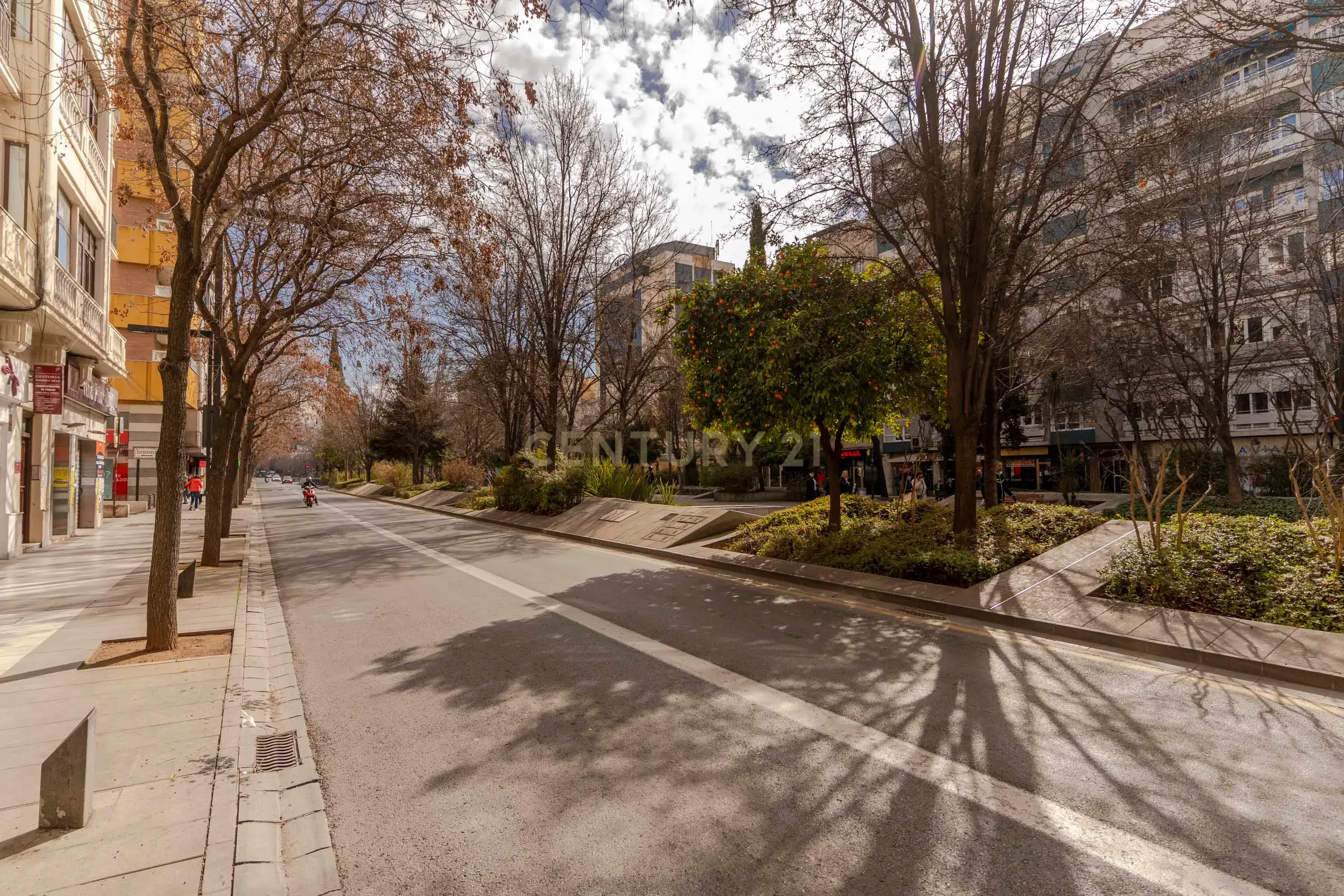 undefined - Image 50