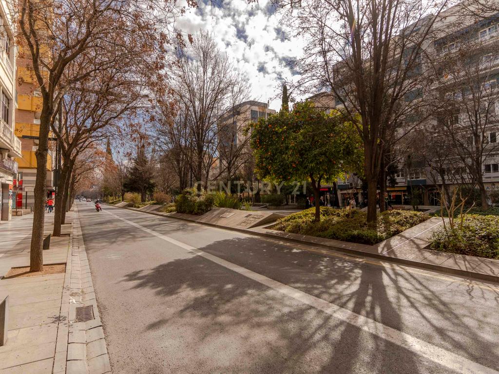 undefined - Image 50