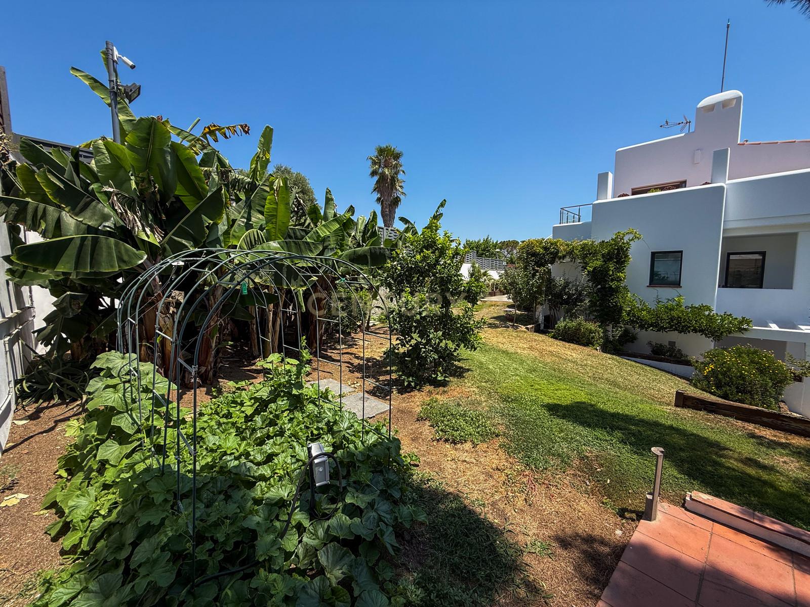Outdoor summer kitchen at Villa Can Bonita with pergola, dining table and plancha set in a Mediterranean garden.