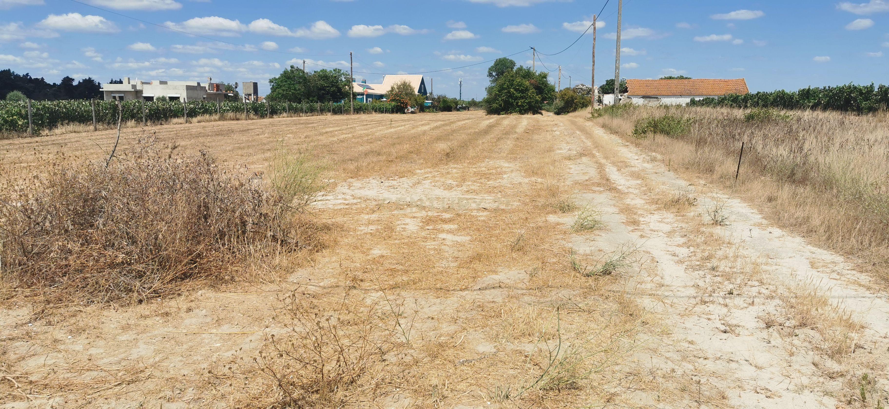 Fotografia 4 de MORADIA T5 CHAVE NA MÃO | 6.600 m² DE TERRENO | PISCINA | LAU, PALMELA em Setúbal