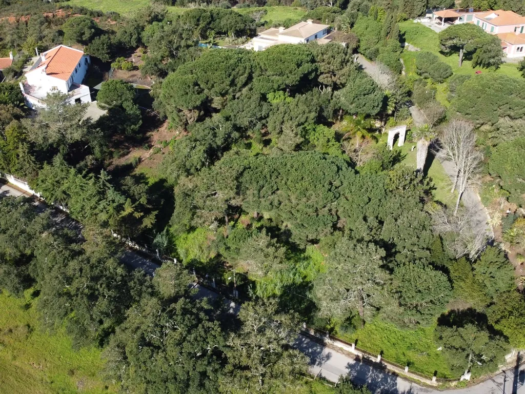 🏡 Terreno para Construção – 2.746 m² | Oportunidade Única Perto de Setúbal! 🌿 - Image 28