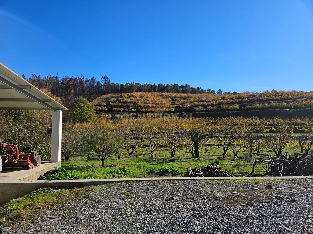 Quinta de Excelência Agrícola na Região Premium do Fundão: 32 ha de Alta Produtividade - Image 9